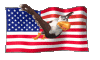 AmusingVigilantDassie-max-1mb.gif