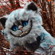 FurrMental
